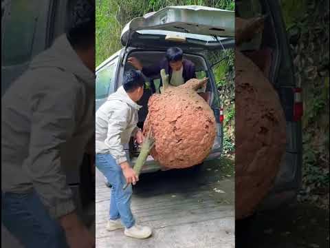 A car horn...but it ended with an act of kindness. #short,#kindness,#help,#love thumbnail