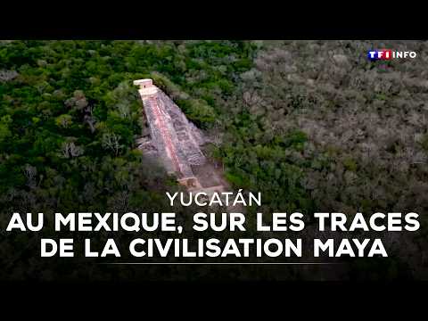 Mexique : les étonnantes curiosités du Yucatán｜TF1 INFO thumbnail