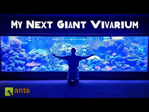 Addressing My Next Giant Vivarium while touring UK's Natural History Museum & ZSL Zoo thumbnail