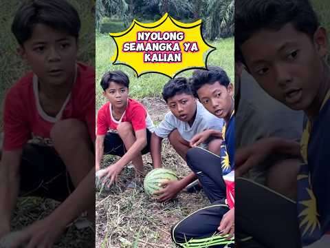 Nyolong semangka ya kalian #videolucu #wakmi #sketsakomedi #comedy #lucu #semangka #funny thumbnail