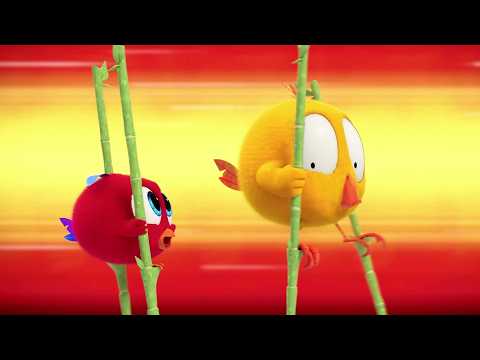 Where's Chicky? | The race! | A Xilam Series | Xilam TV thumbnail