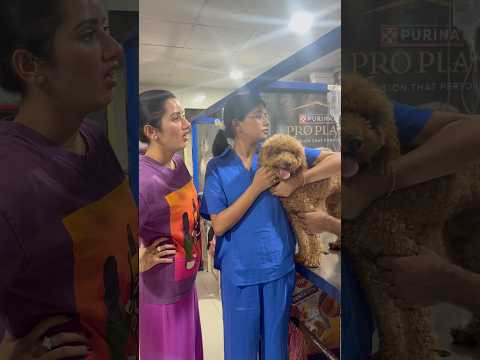 Yeh kya hua ? || Poo am P Bisht thumbnail