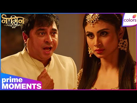 Naagin S2 | Highlights | Ep. 37 | Shesha’s Discovery! Did Shivangi Kill Manav? | Colors TV thumbnail