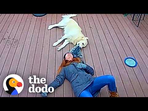Ring Camera Catches Woman And Her Dog In The Happiest Moment Ever | The Dodo thumbnail