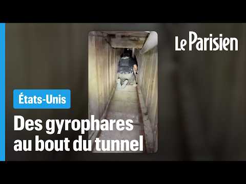 Les narcos passaient par ce tunnel géant pour leur trafic vers les États-Unis thumbnail