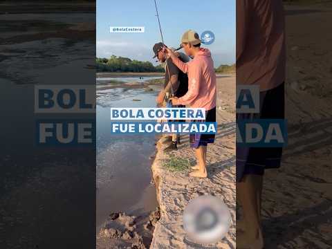 Localizan con vida a integrantes de Bola Costera tras desaparecer rumbo a Mazatlán #Short thumbnail