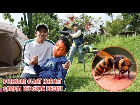 KASIHAN BOCIL😭MUKANYA DISENGAT TAWON PALING BERB4HAYA SAMPE BENGK4K BEGINI? | Mikael TubeHD thumbnail