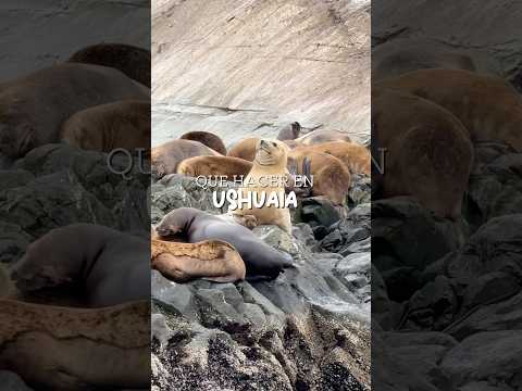 Cosas que tienes que hacer en el fin del mundo #Ushuaia #argentina #tierradelfuego thumbnail