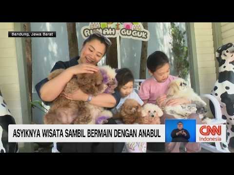 Wisata Sambil Bercengkerama dengan Satwa thumbnail