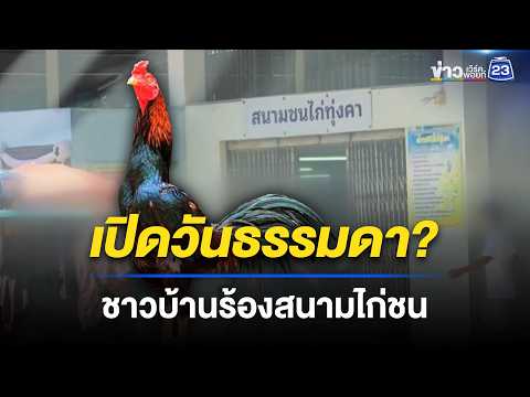 สนามชนไก่ เปิดเล่นพนันทุกวันไม่สนระเบียบ? l ข่าวเที่ยงเวิร์คพอยท์ l 26 พ.ค. 69 thumbnail