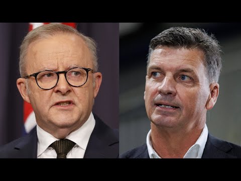 Albanese advises Angus Taylor to ‘stand up’ to One Nation thumbnail