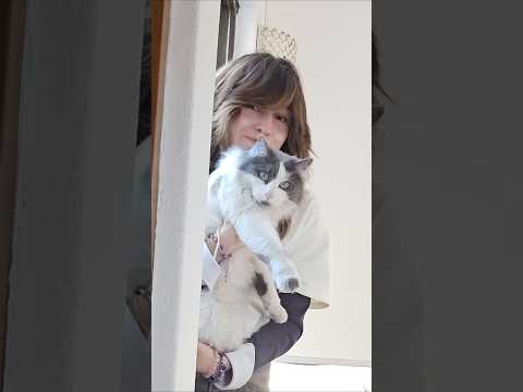 Probando si mis gatos son inteligentes | • Liza Baez • thumbnail