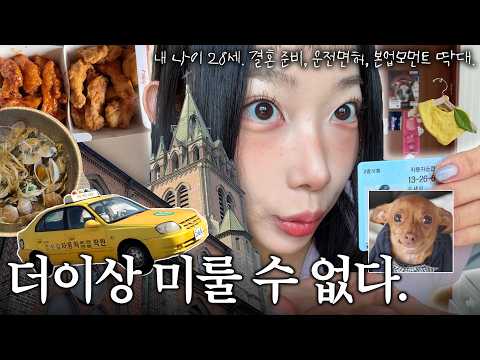 세희의 (합)홀로서기(격) 성장통 ????.·˚??????‍♀️ | 결혼준비?•운전면허?•방꾸미기?•본업모먼트? thumbnail