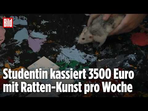 KUNST: Studentin finanziert sich mit abstrakter Ratten-Kunst ihr Studium! thumbnail