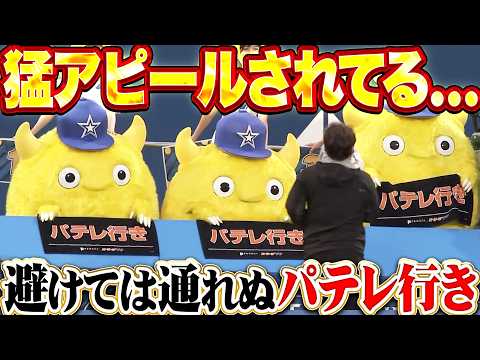 【避けては通れぬ】チャピー猛烈アピール『パテレ行き▪️パテレ行き▪️パテレ行き』 thumbnail