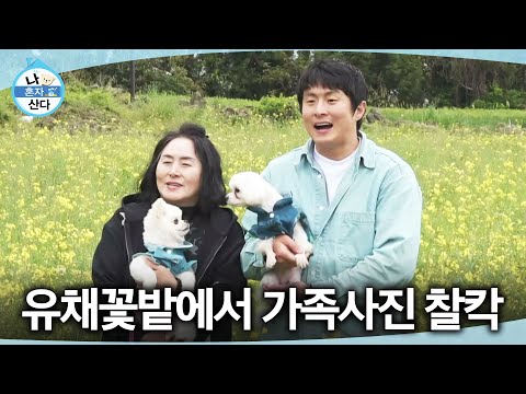 [나 혼자 산다] 여기 보세요? 반려견들과 함께 유채꽃밭에서 가족사진 찍는 기안84, MBC 260522 방송 thumbnail
