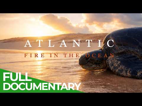 Atlantic Islands: Fire in the Ocean | Free Documentary Nature thumbnail