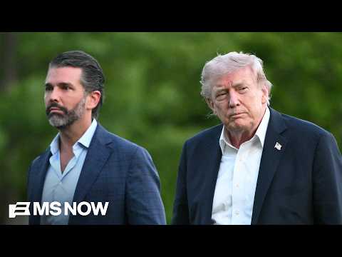 'Mar-a-Lago Mafia, The Epstein Class': Walkinshaw on those protecting Trump IRS audit immunity thumbnail