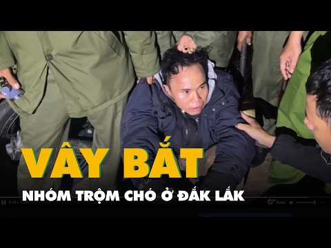 Camera quay cảnh công an mật phục vây bắt nhóm trộm chó ở Đắk Lắk thumbnail