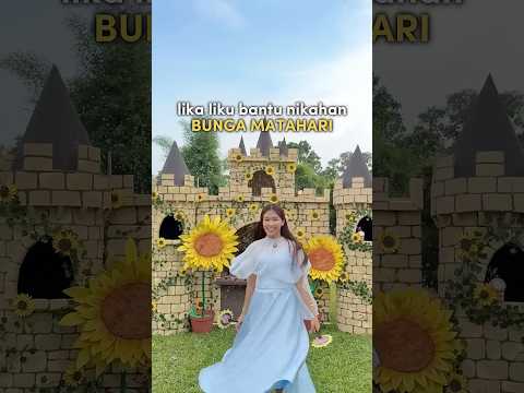 Lika Liku Bantu Nikahan Bunga Matahari thumbnail