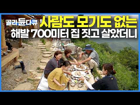 50년 살았던 동네 사람들도 살아볼 엄두도 못 낸 해발 700미터 산꼭대기에 집 짓고 살았더니｜내 인생에서 가장 잘 한 일｜하늘 아래에서 잘 먹고 잘 산다｜한국기행｜#골라듄다큐 thumbnail