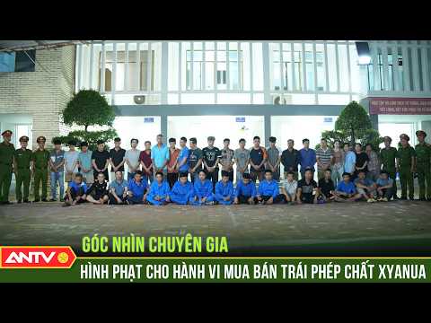 Hình phạt cho hành vi mua bán trái phép chất độc Xyanua | ANTV thumbnail