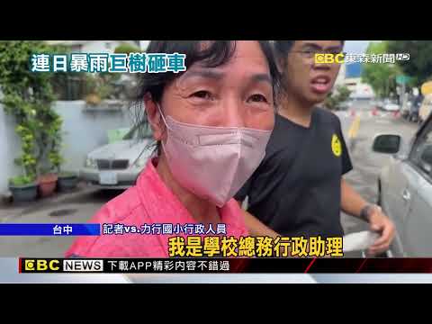 雨災？台中70年榕樹突倒塌 壓3車佔雙向車道@newsebc thumbnail