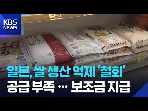 [글로벌K] 쌀값 폭등 겪은 일본, 공급 확대 나서 / KBS  2026.06.16. thumbnail