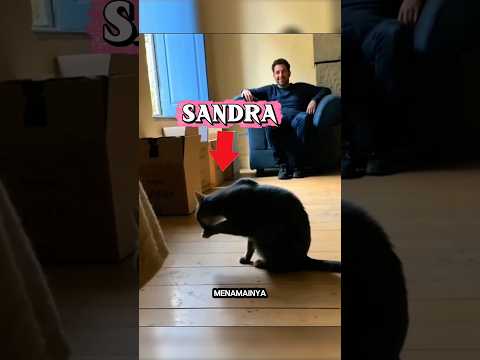 ini petunjuk dari sandra sebelum ia meninggal 😔 thumbnail