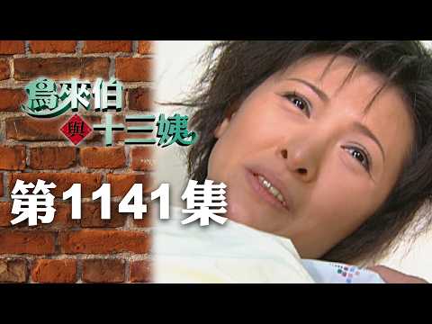 鳥來伯與十三姨【新再製】EP1141｜三立台劇 thumbnail
