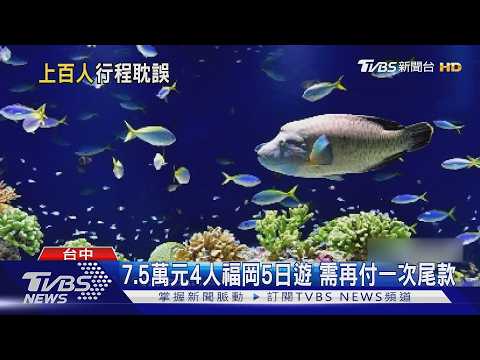 威順旅行社歇業 消費者出國行程生變｜TVBS新聞 @TVBSNEWS01 thumbnail