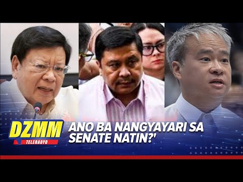 Plunder cases sa ilang senador pinuna ng ex-Bar association president | DZMM TeleRadyo thumbnail