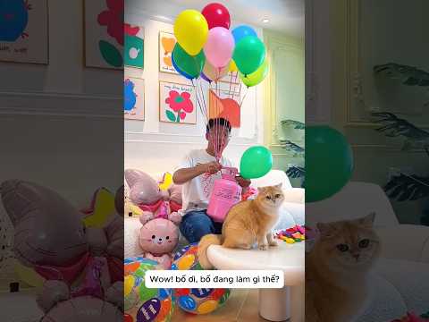 Bóng Bay Khổng Lồ Kéo Mèo Bay Lên Trời? 🎈🐈 thumbnail