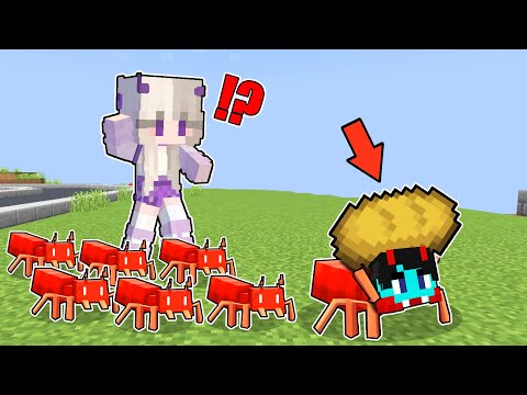 PepeSan became ANT in Minecraft! thumbnail