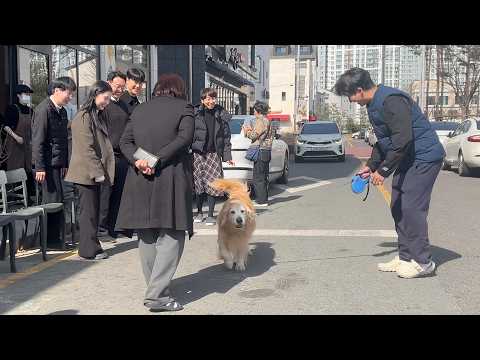 40만 유튜버 리트리버 견생이 어떻게 흘러갈지 감이 1도 안오는 이유 (베이커리 창업??) thumbnail