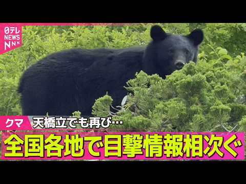 【クマ出没】「天橋立」で再び目撃情報　全国各地で目撃情報相次ぐ ──社会ニュースライブ（日テレNEWS LIVE） thumbnail