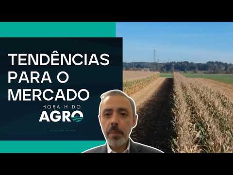 Leonardo Machado analisa a versatilidade e a colheita do milho | HORA H DO AGRO thumbnail